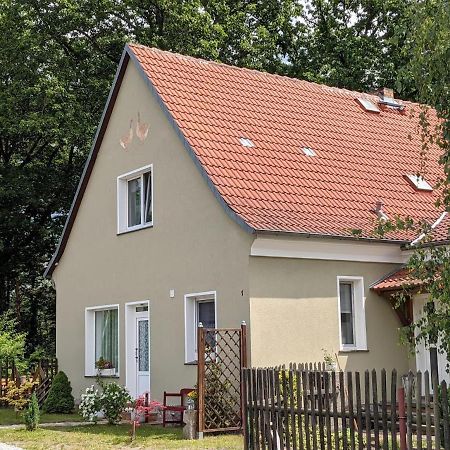 Helenes Ferienwohnung Auf Dem Bauernhof - Lausitzer Seenland Lauta Exteriör bild